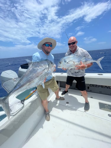 Pulley Ridge In Key West