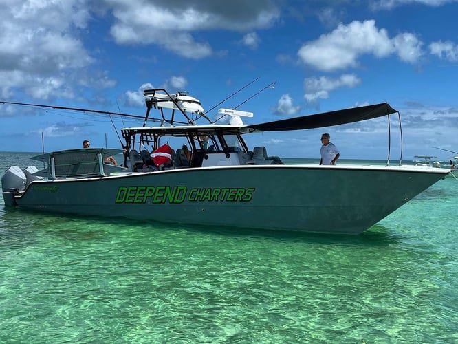 Pulley Ridge In Key West