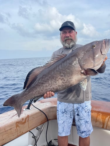 Pulley Ridge In Key West