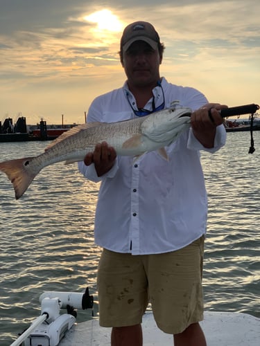 Port Aransas Fishing Adventures In Port Aransas