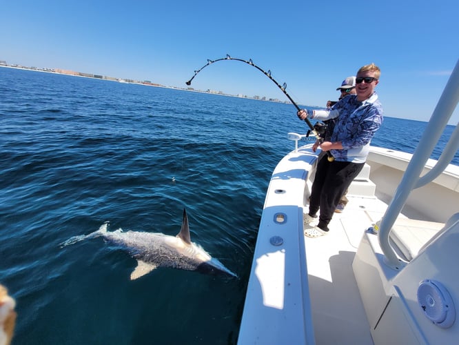 Deep Sea-Nearshore Gulf Experience In Destin