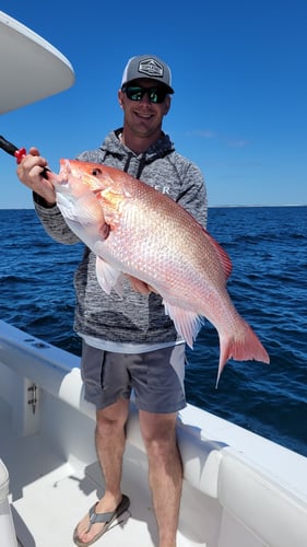 Deep Sea-Nearshore Gulf Experience In Destin