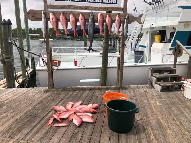 Best Red Snapper Fishing - Gulf Shores In Gulf Shores