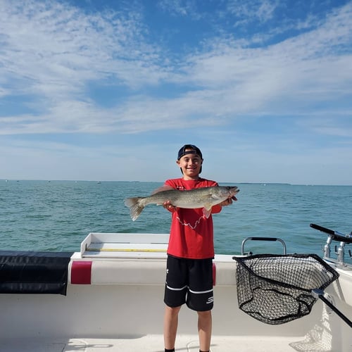 Lake Erie Combo Trip In Lakeside Marblehead