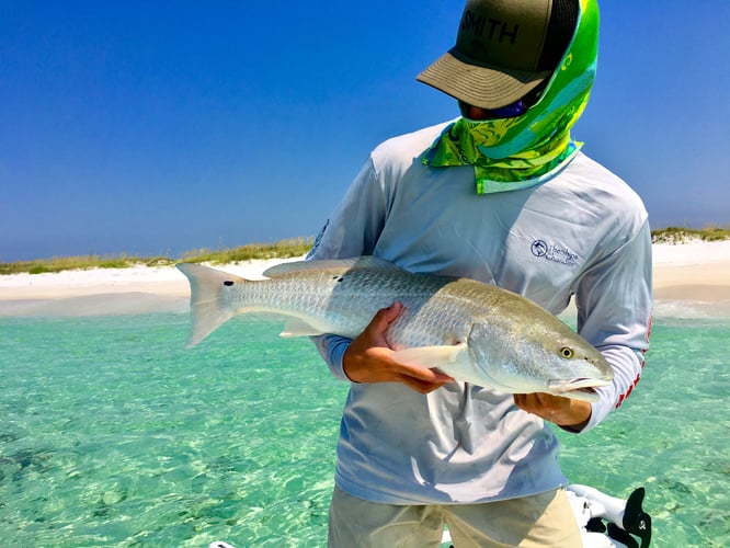 Destin Fly Fishing And Light Tackle In Destin