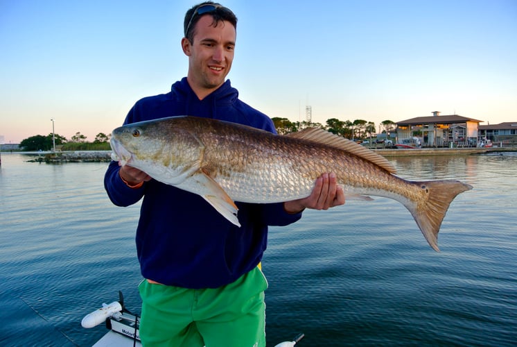 Destin Fly Fishing And Light Tackle In Destin