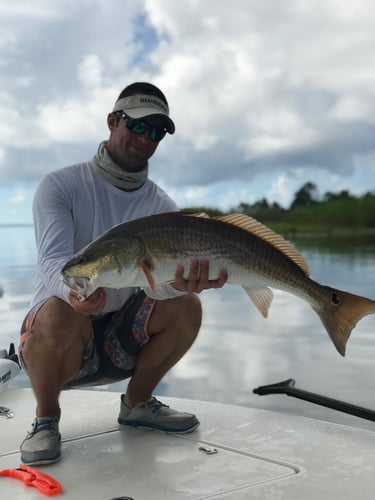 Destin Fly Fishing And Light Tackle In Destin