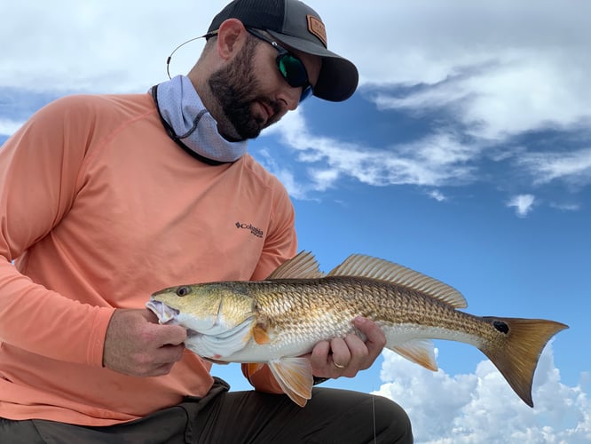 Destin Fly Fishing And Light Tackle In Destin