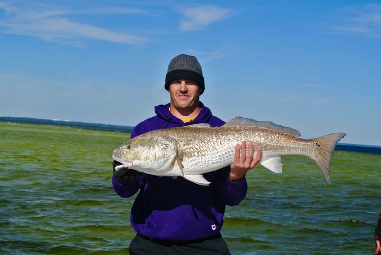 Destin Fly Fishing And Light Tackle In Destin