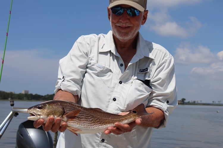 Destin Fly Fishing And Light Tackle In Destin