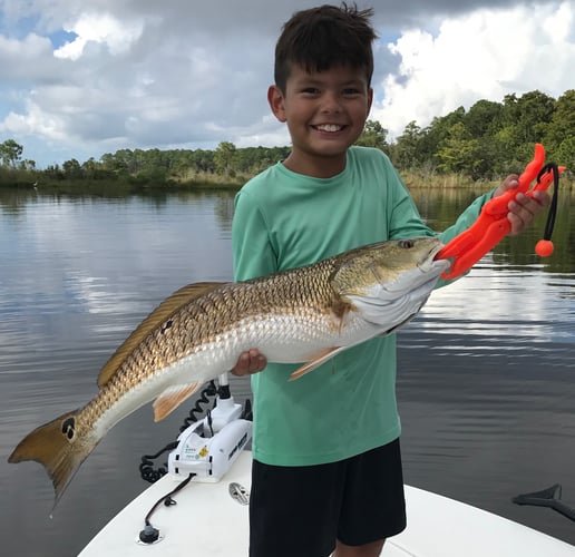 Destin Fly Fishing And Light Tackle In Destin