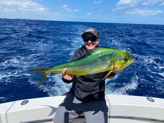 Pompamo Fishing Frenzy In Pompano Beach