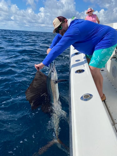 Pompamo Fishing Frenzy In Pompano Beach