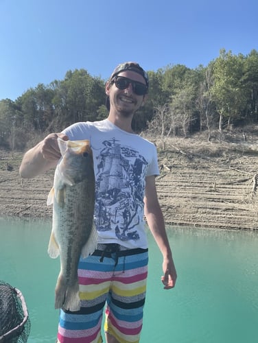 Monster Pike High Mountain Lakes In Banyoles