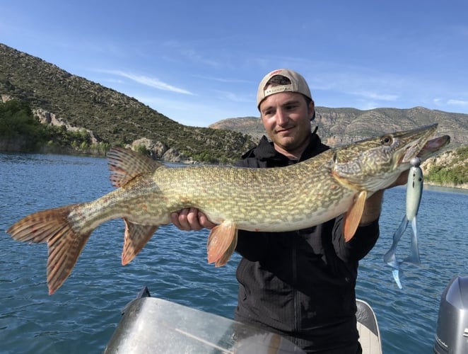 Monster Pike High Mountain Lakes In Banyoles