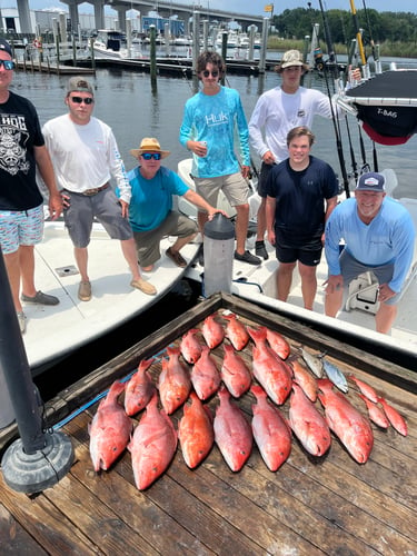 1/2 Day Inshore/offshore In Pensacola