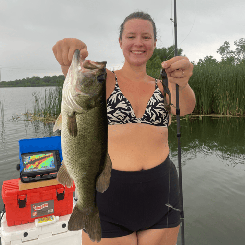 Decker Lake Fishing In Austin