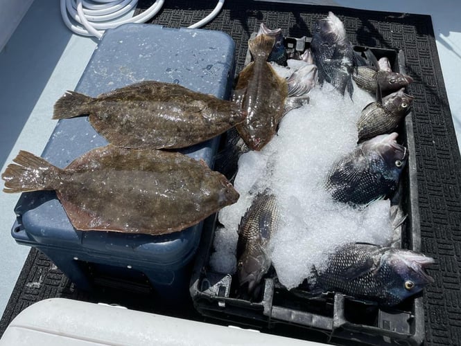 Overtime Tunas, Stripers, Sea Bass+ In Newport