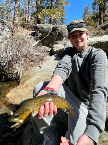 Sequoia National Forest Fly Fishing In Hume