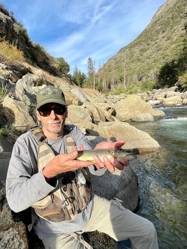 Sequoia National Forest Fly Fishing In Hume