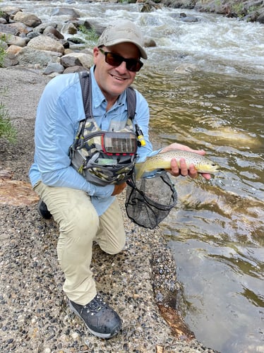 Sequoia National Forest Fly Fishing In Hume