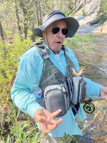 Sequoia National Forest Fly Fishing In Hume