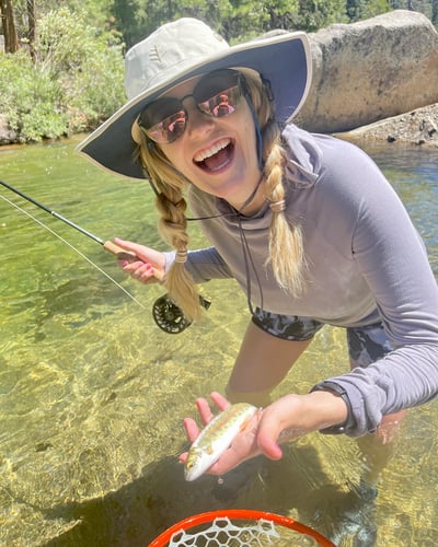 Sequoia National Forest Fly Fishing In Hume