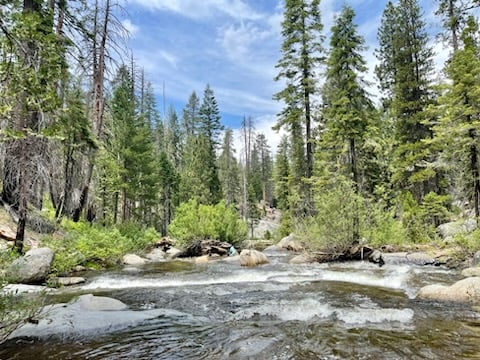 Sequoia National Forest Fly Fishing In Hume