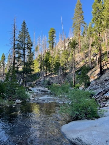 Sequoia National Forest Fly Fishing In Hume