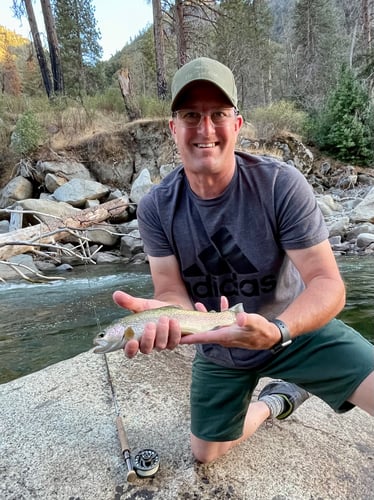 Sequoia National Forest Fly Fishing In Hume