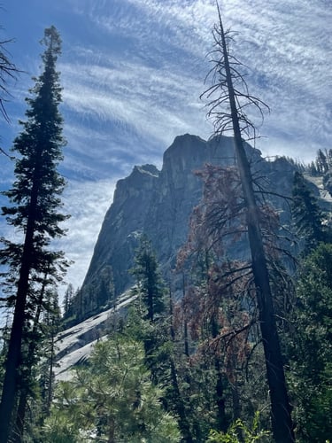 Sequoia National Forest Fly Fishing In Hume