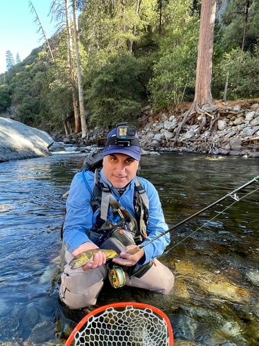 Sequoia National Forest Fly Fishing In Hume