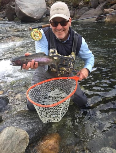 Sequoia National Forest Fly Fishing In Hume