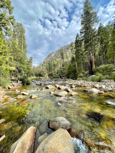 Sequoia National Forest Fly Fishing In Hume