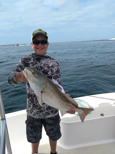 2-Hour Kids Trip - 24' SeaPro In Panama City Beach