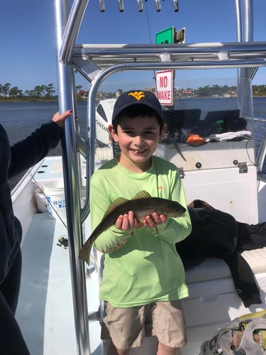 2-Hour Kids Trip - 24' SeaPro in Panama City Beach