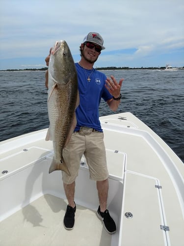 Gulf Fishing Experience In Panama City Beach