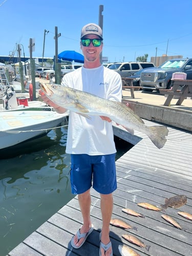 Gulf Fishing Experience In Panama City Beach