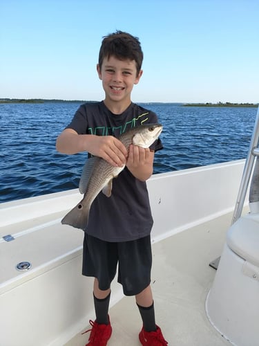 2-Hour Kids Trip - 24' SeaPro In Panama City Beach