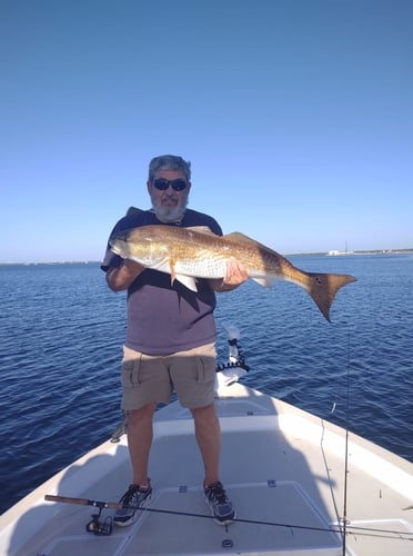 Gulf Fishing Experience In Panama City Beach