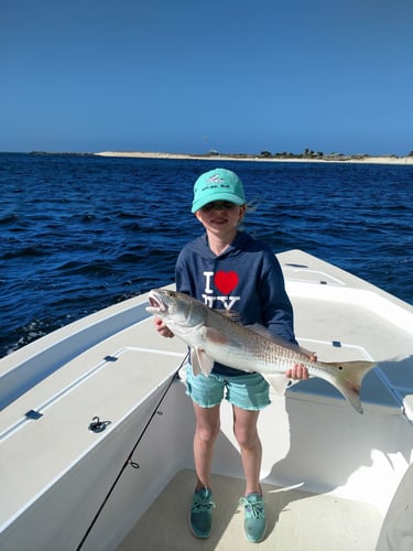 2-Hour Kids Trip - 24' SeaPro in Panama City Beach
