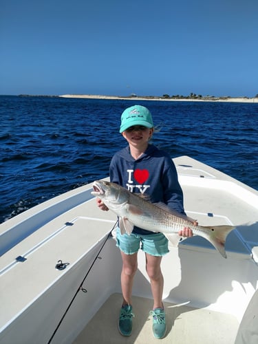 2-Hour Kids Trip - 24' SeaPro In Panama City Beach