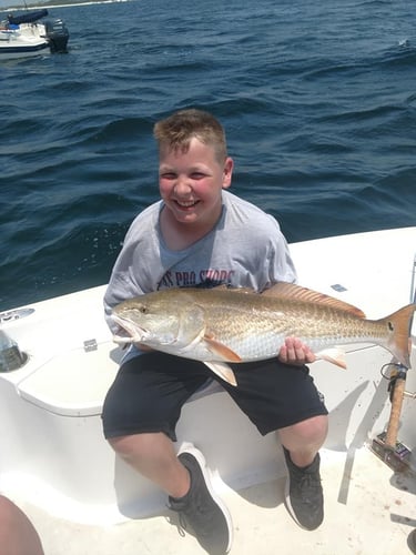 2-Hour Kids Trip - 24' SeaPro in Panama City Beach
