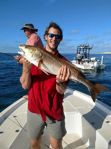 Half Day PCB Trip - 24' SeaPro In Panama City Beach