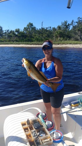 Gulf Fishing Experience in Panama City Beach