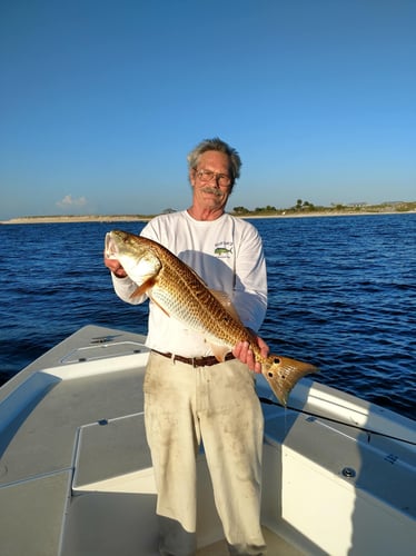 Gulf Fishing Experience In Panama City Beach