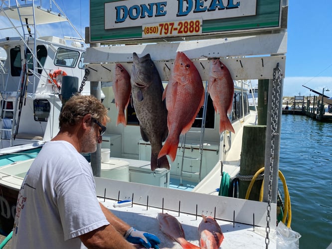 “Red Snapper Smash” In Destin
