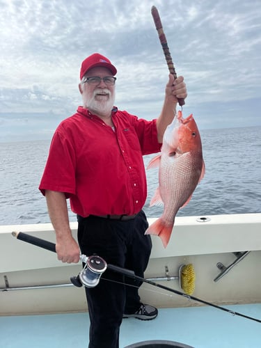 “Red Snapper Smash” In Destin