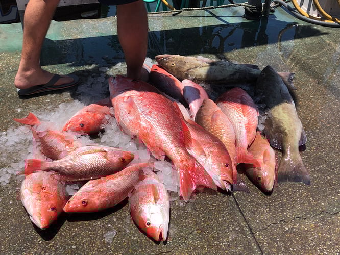 “Red Snapper Smash” In Destin