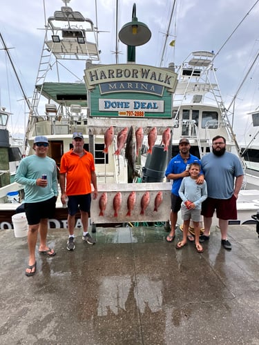 “Red Snapper Smash” In Destin
